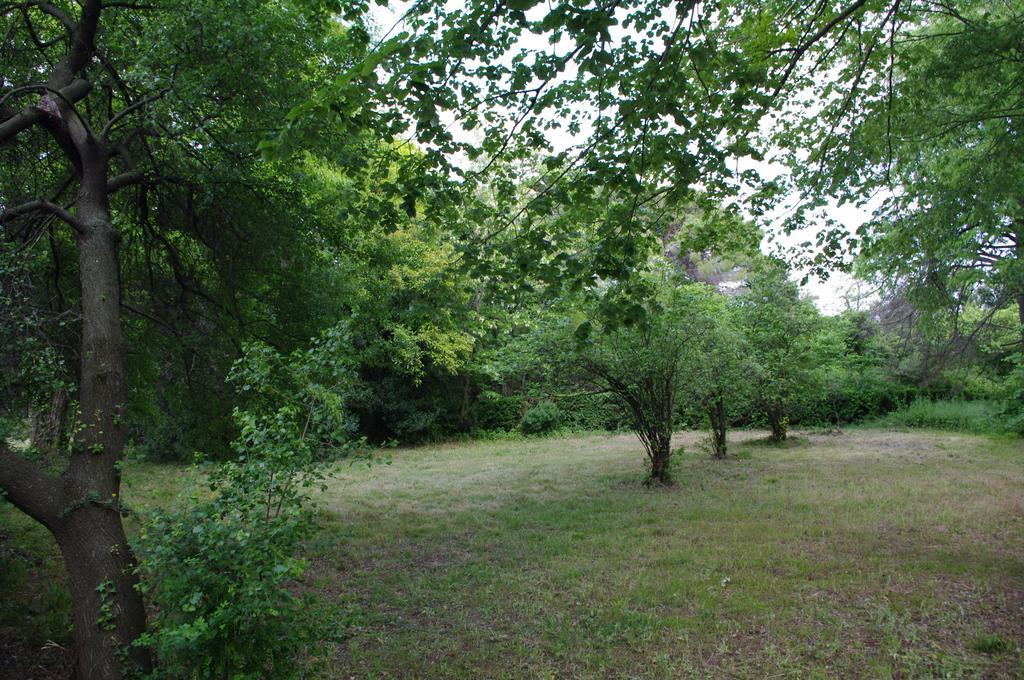 Chateau Le Vergel Authenac Ginestas Pokój zdjęcie