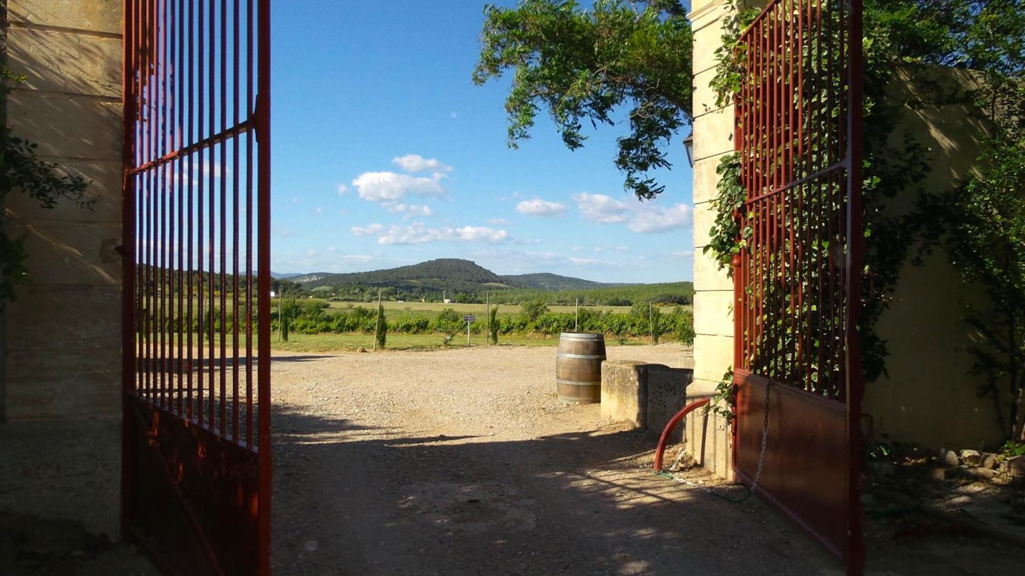 Chateau Le Vergel Authenac Ginestas Pokój zdjęcie