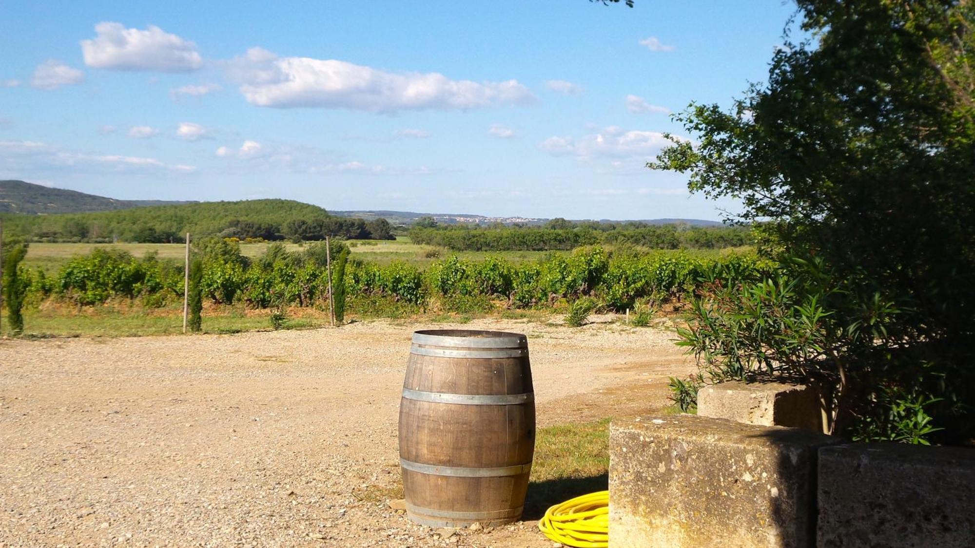 Chateau Le Vergel Authenac Ginestas Pokój zdjęcie